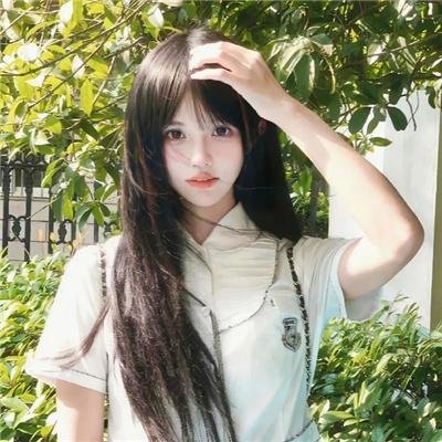 人工进化